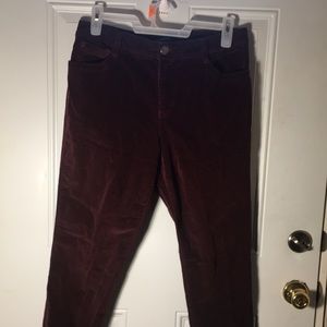 Bandolino Lucie burgundy corduroy zip button front straight leg pant size 16